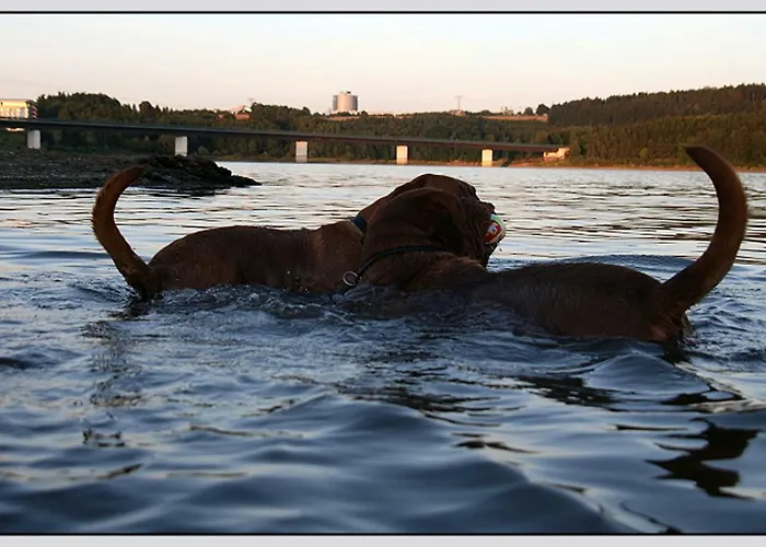 Bungalow Direkt Am Wasser