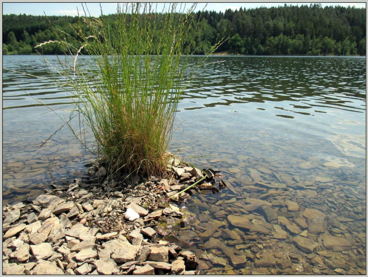 Direkt Am Wasser Zeulenroda-Triebes