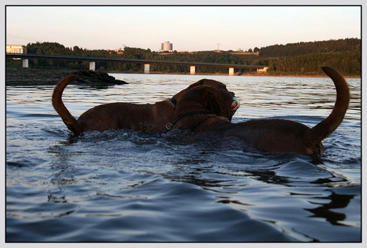 Direkt Am Wasser Holiday home *